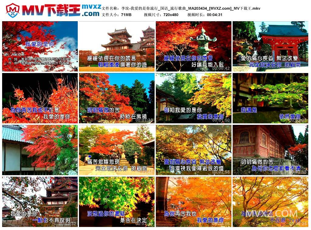李玟-我爱的是你流行_国语_流行歌曲_MA203434